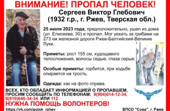 В Тверской области уже неделю не могут найти дедушку-грибника В Тверской области уже неделю не могут найти дедушку-грибника