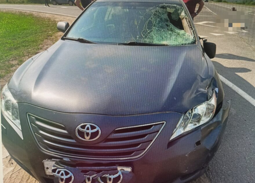 В Тверской области иномарка насмерть сбила пешехода