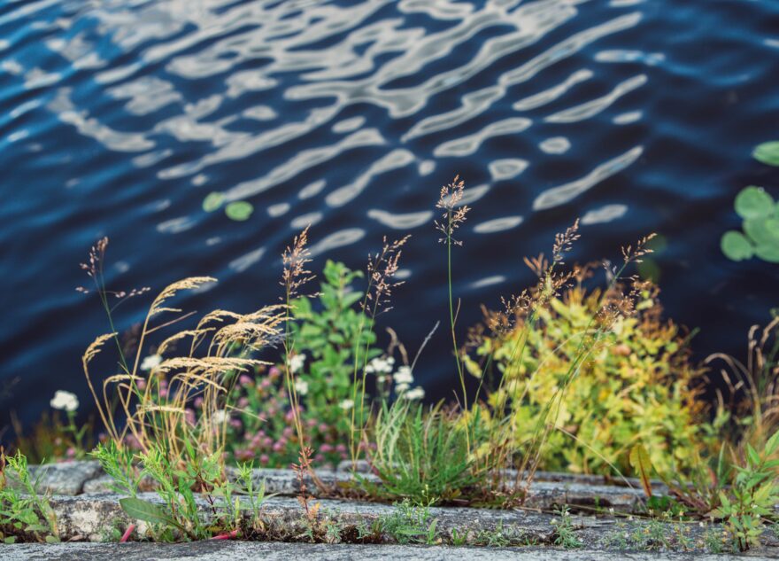Тело женщины нашли в акватории Волги в Твери
