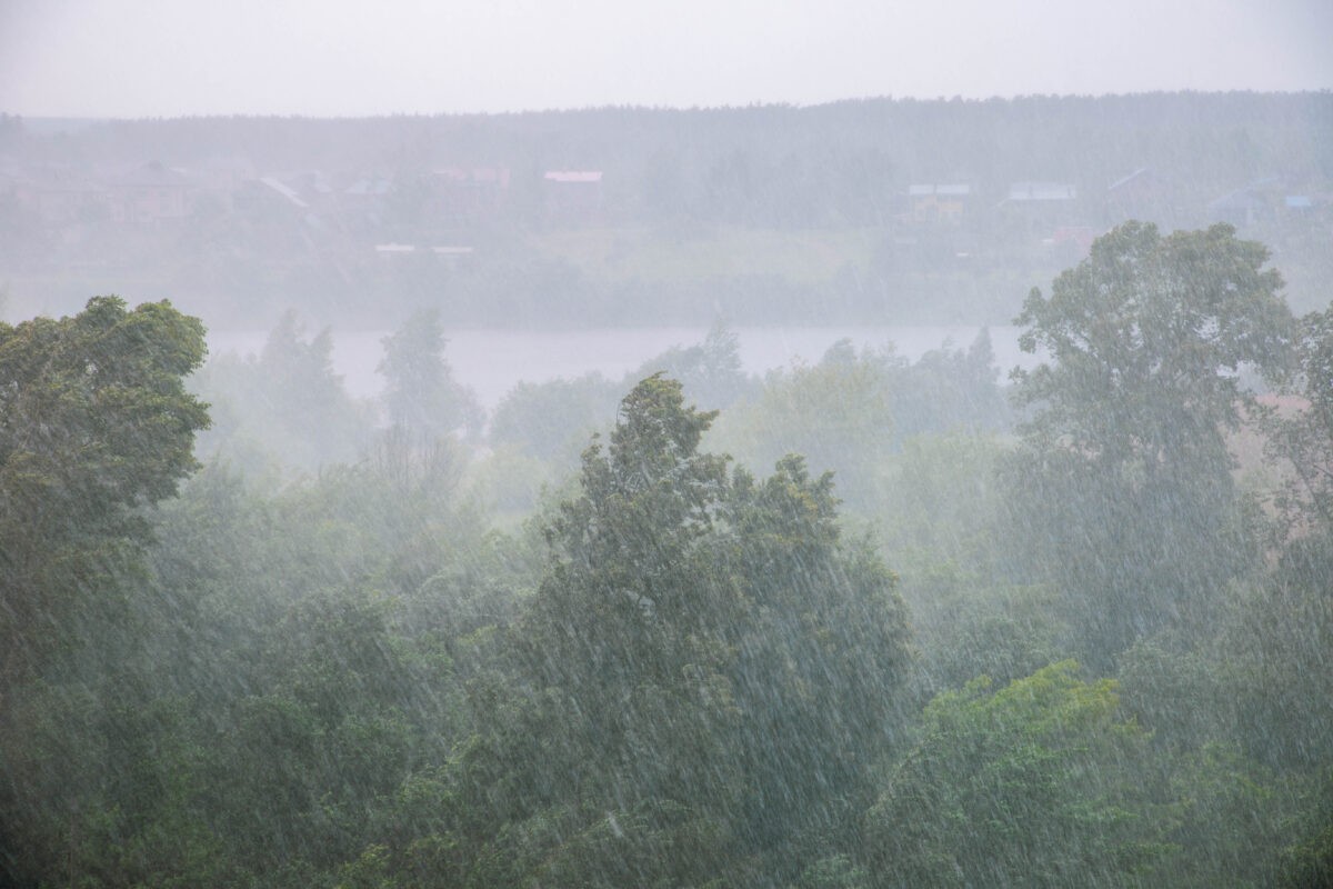 На Тверскую область надвигается гроза