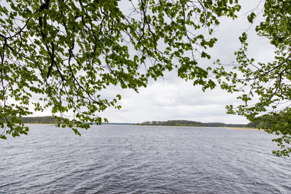 В Тверской области пресекли незаконную перевозку пассажиров на теплоходах