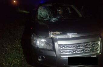 Пешеход, который стоял на дороге под Тверью, погиб под колёсами "Ленд Ровера"