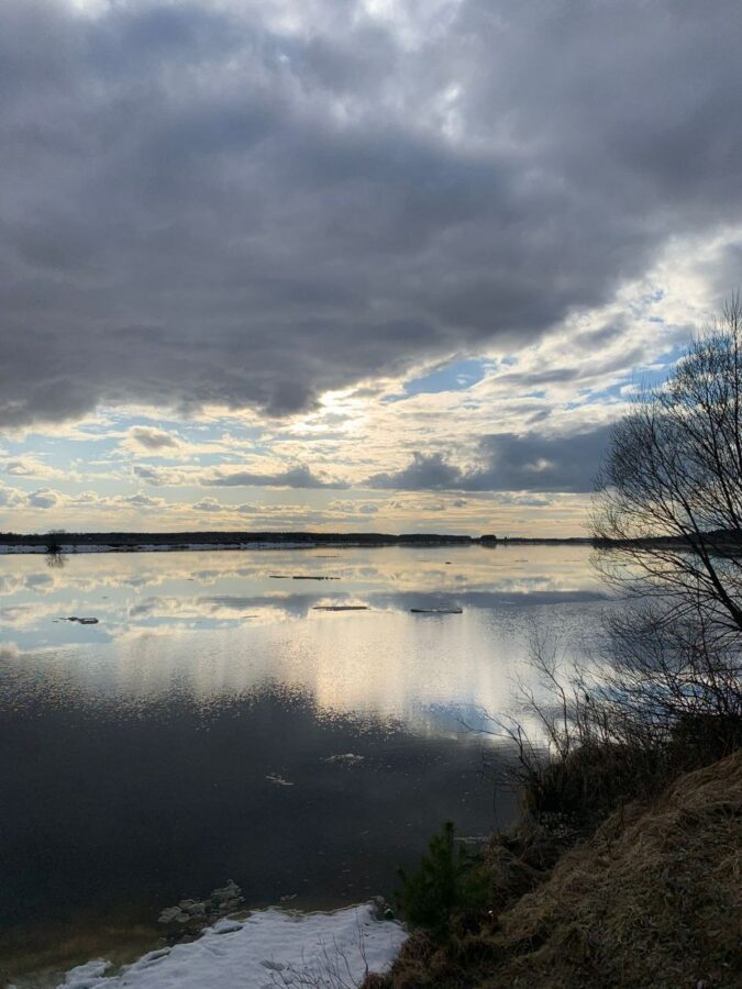 Земельный участок на берегу Волги в Тверской области отняли у незаконного владельца