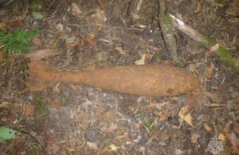 Миномётную мину времён войны нашли рядом с деревней в Тверской области Миномётную мину времён войны нашли рядом с деревней в Тверской области