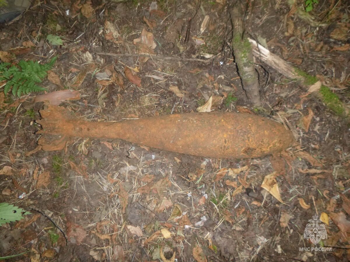 Миномётную мину времён войны нашли рядом с деревней в Тверской области