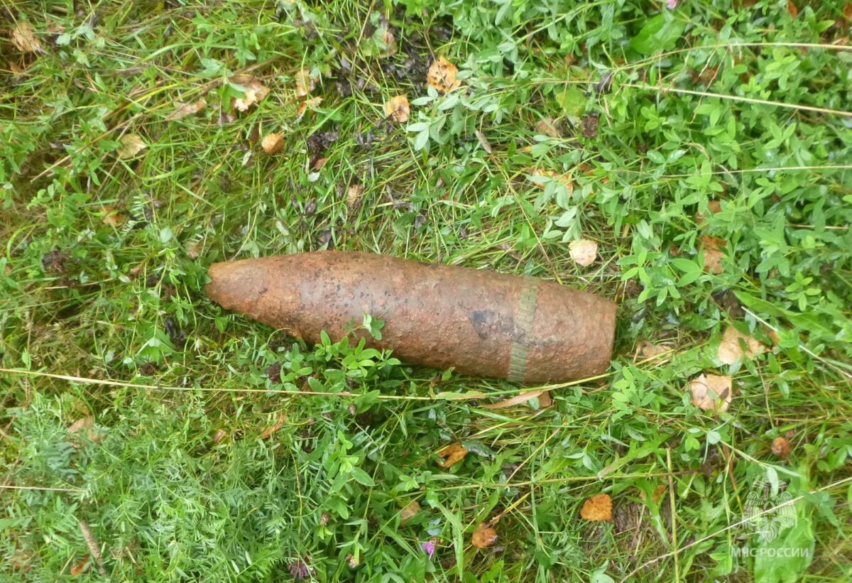 8 взрывоопасных предметов времён войны обезвредили в Тверской области