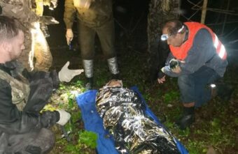 Волонтеры рассказали, как спасали бабушку, застрявшую на два дня в лесу в Тверской области Волонтеры рассказали, как спасали бабушку, застрявшую на два дня в лесу в Тверской области