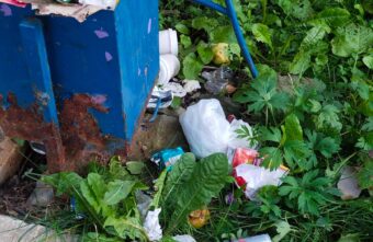 Жители дома в Тверской области жалуются на мусор и гнилые яблоки во дворе