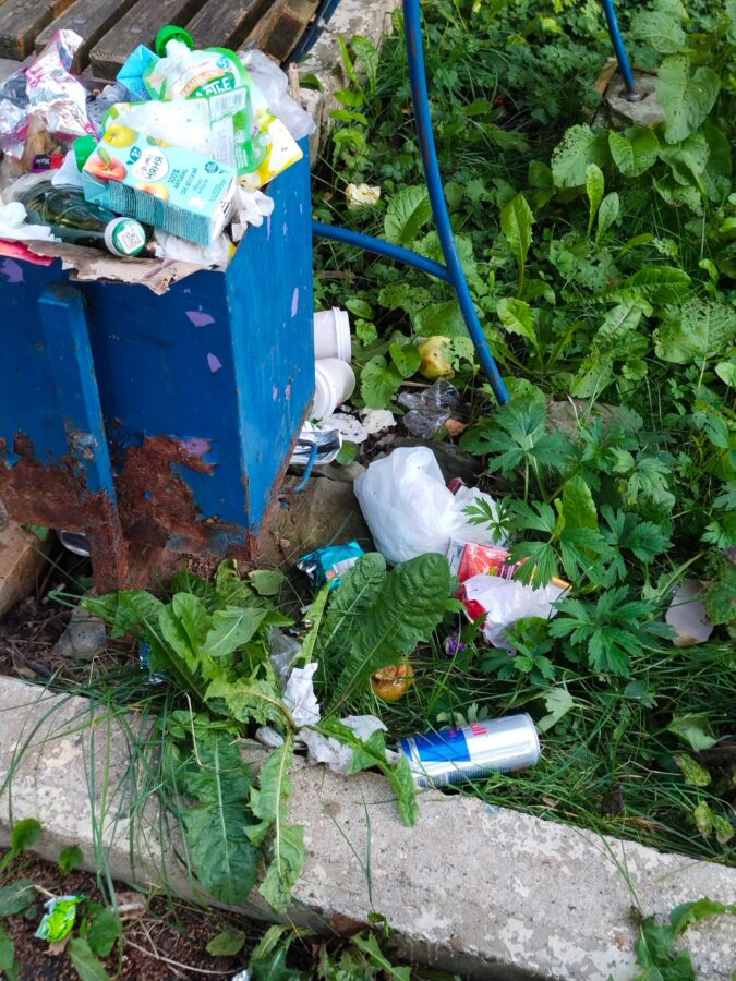 Жители дома в Тверской области жалуются на мусор и гнилые яблоки во дворе