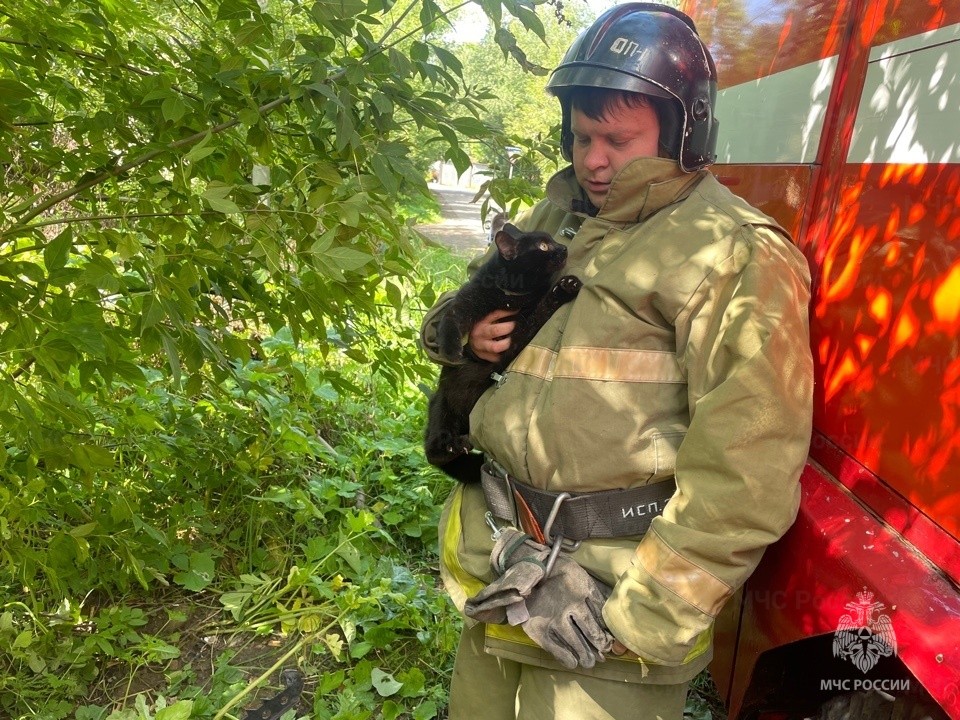 Спасатели помогли кошке и котёнку, попавшим в беду