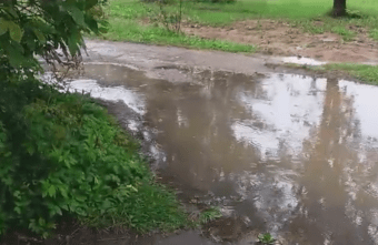 Жители деревни в Тверской области заблокированы «морем» у подъезда Жители деревни в Тверской области заблокированы «морем» у подъезда