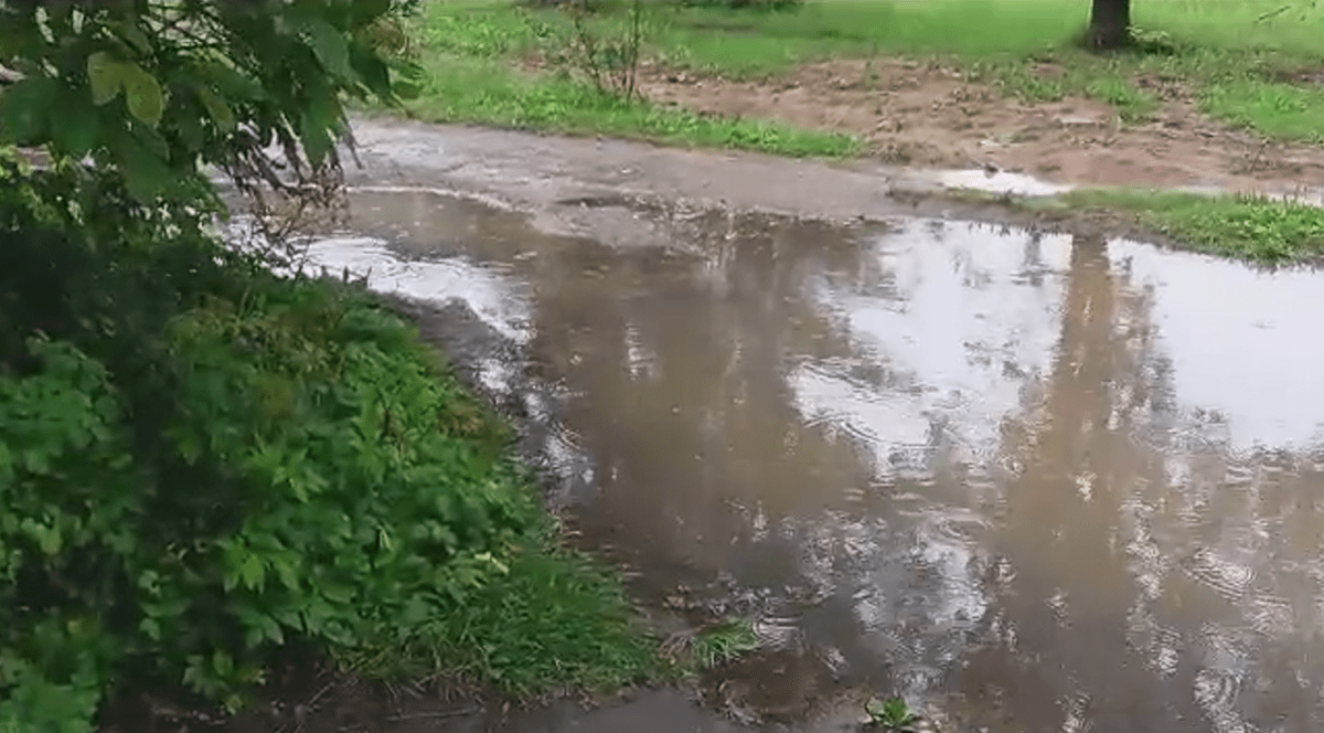 Жители деревни в Тверской области заблокированы «морем» у подъезда