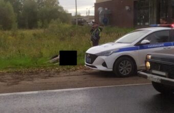 В Твери на шоссе сбили лося В Твери на шоссе сбили лося