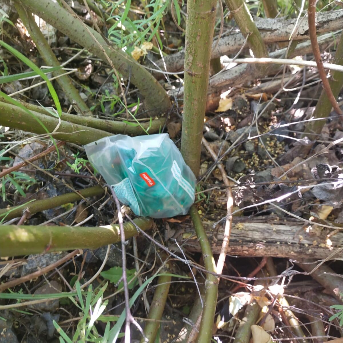 Наркодилер из Тверской области проведет в тюрьме все лучшие годы