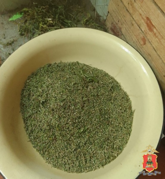 В деревне Тверской области нашли 2 килограмма марихуаны