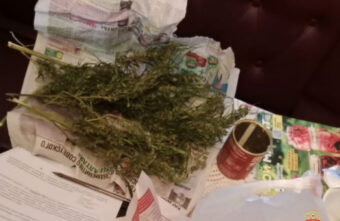 В гараже у жителя Тверской области нашли коноплю