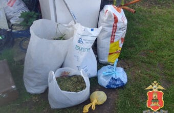 В деревне Тверской области нашли 2 килограмма марихуаны В деревне Тверской области нашли 2 килограмма марихуаны