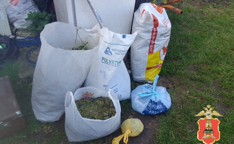 В деревне Тверской области нашли 2 килограмма марихуаны