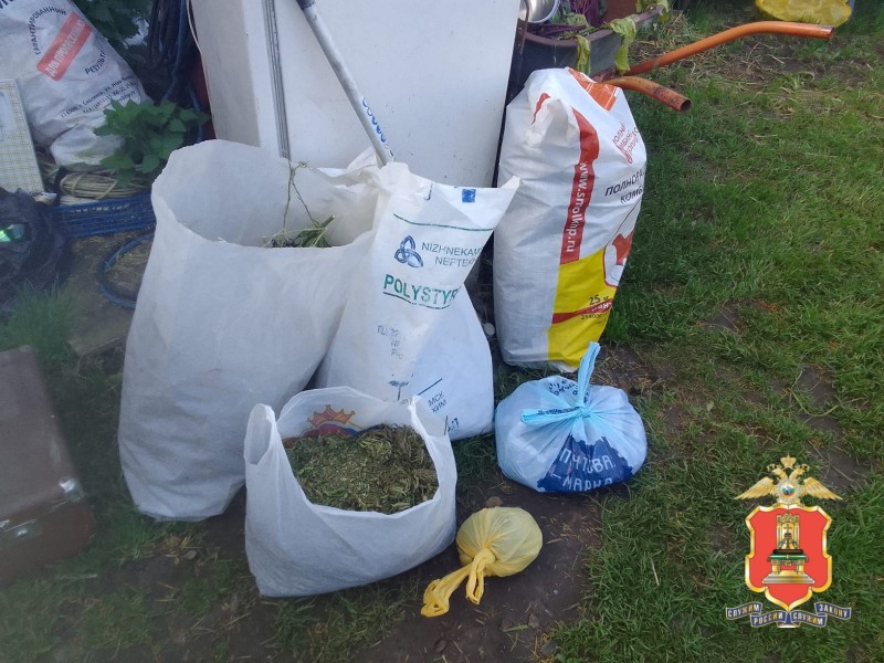 В деревне Тверской области нашли 2 килограмма марихуаны