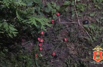 В Тверской области задержали иностранцев с крупной партией наркотиков В Тверской области задержали иностранцев с крупной партией наркотиков