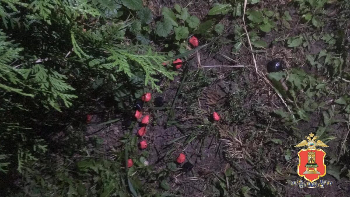 В Тверской области задержали иностранцев с крупной партией наркотиков