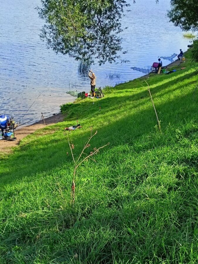 Победителем турнира по рыболовному спорту в Твери стал Георгий Васильев