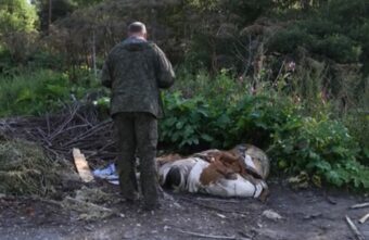 В Тверской области специалисты осмотрели свалку из останков животных
