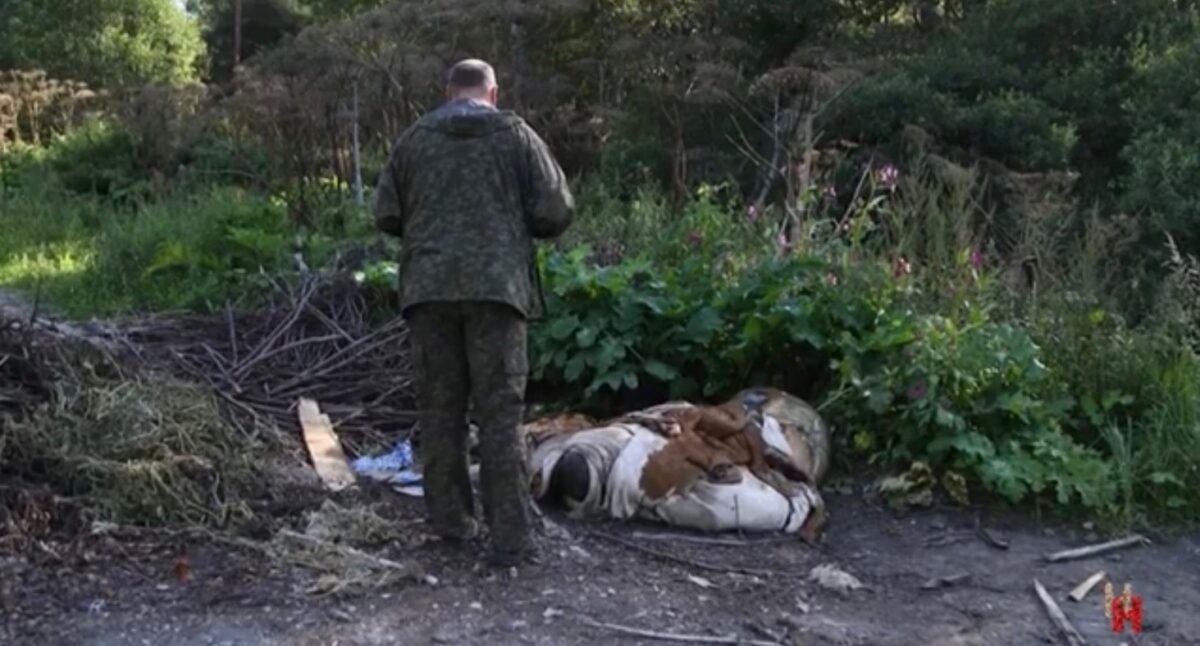 В Тверской области специалисты осмотрели свалку из останков животных