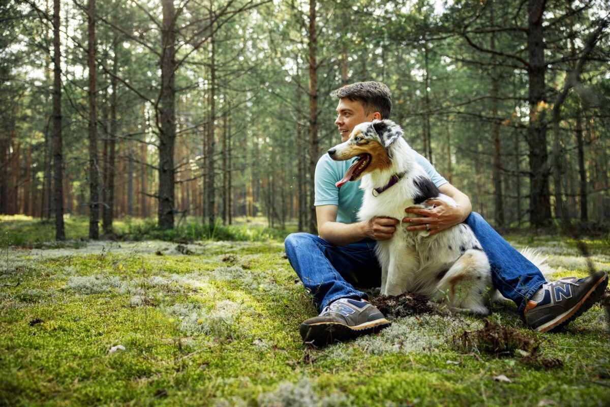 Тверская область попала в топ-5 популярных регионов для лесных прогулок