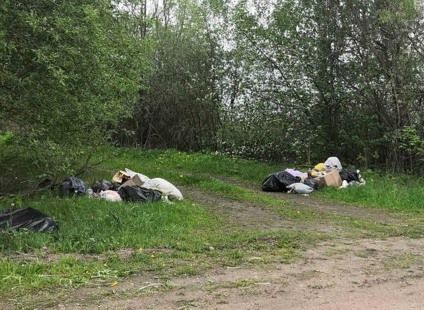 В Тверской области бесследно исчезают мусорные контейнеры