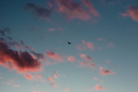 В Тверской области силы ПВО сбили беспилотник