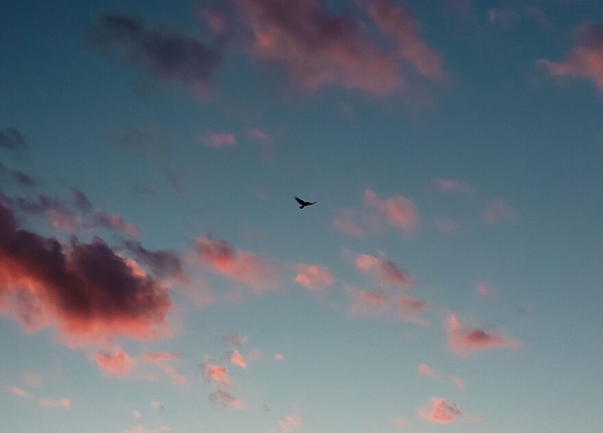 В Тверской области силы ПВО сбили беспилотник