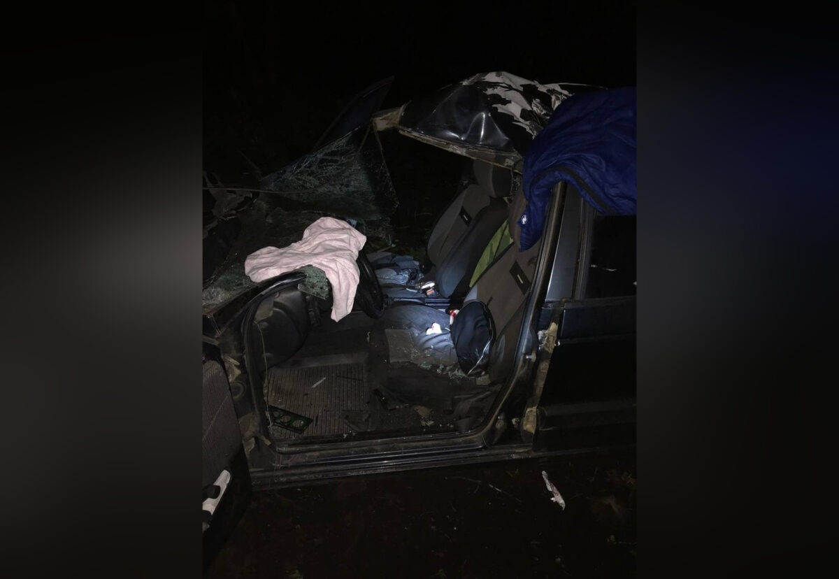 В Тверской области лось попал под колёса иномарки