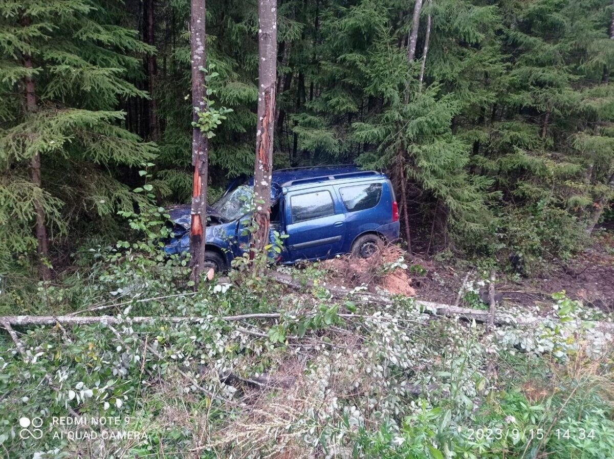 В Тверской области пострадали водитель и пассажир врезавшейся в дерево  