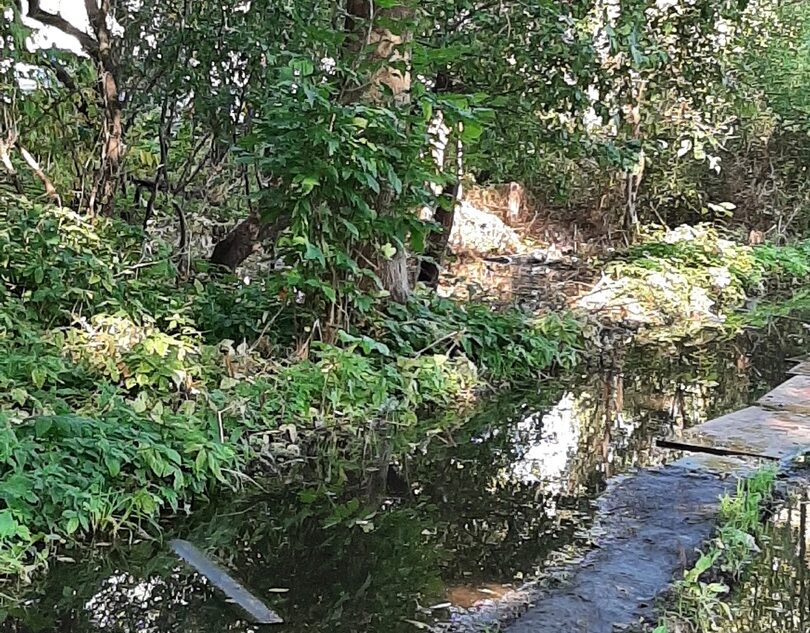 В Тверской области источник затапливает поселок