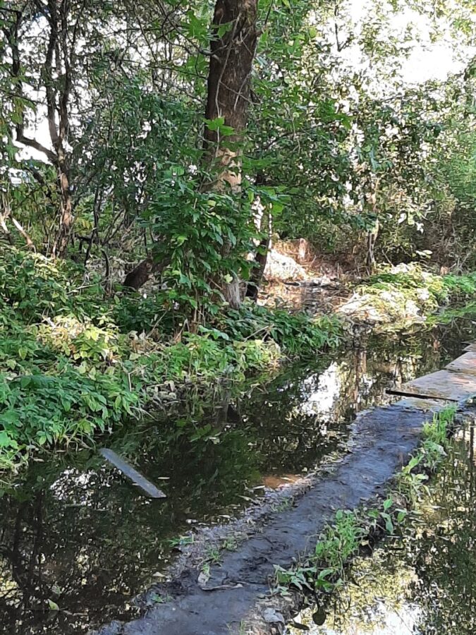 В Тверской области источник затапливает поселок