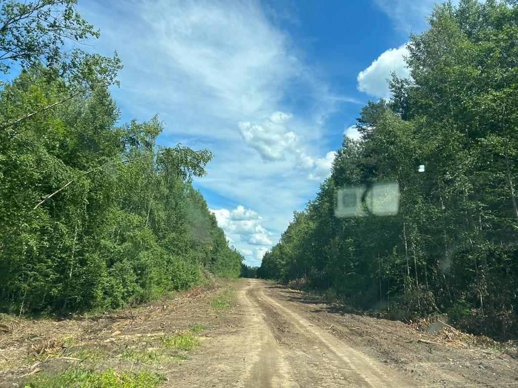 В Лихославльском округе занимаются ремонтом местных дорог