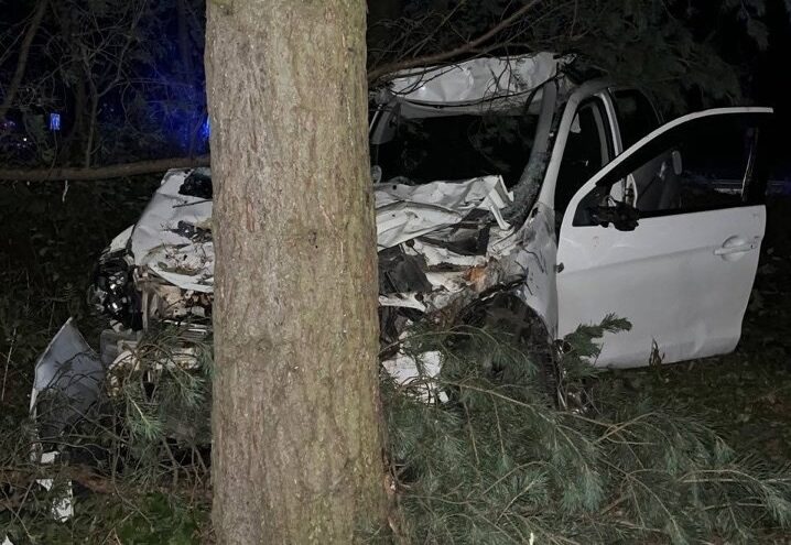 Водитель иномарки сбил лося на трассе в Тверской области