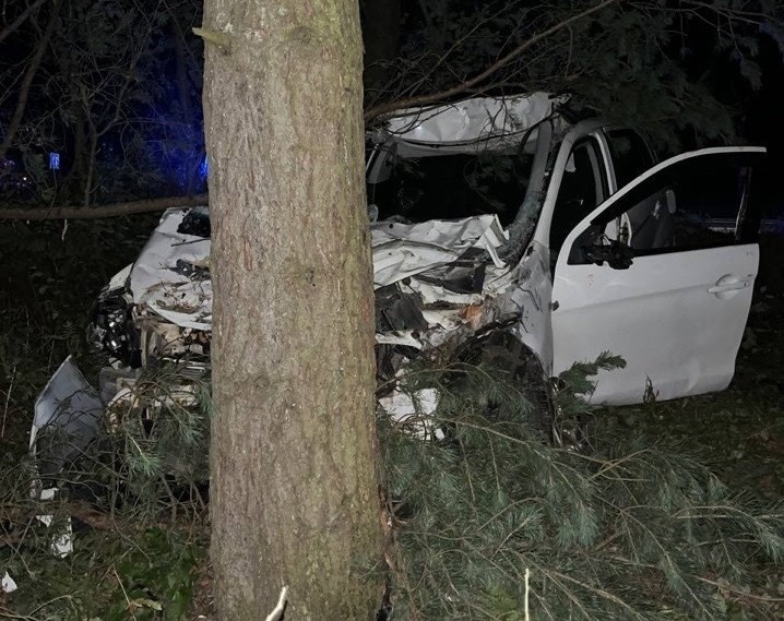 Водитель иномарки сбил лося на трассе в Тверской области