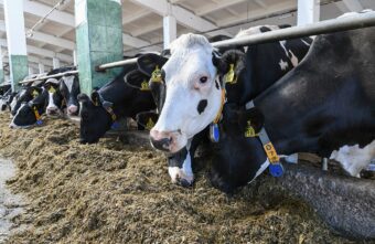 В Тверской области увеличили господдержку сельхозтоваропроизводителей