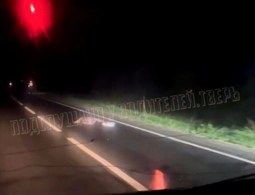 Под Тверью неизвестный насмерть сбил пешехода