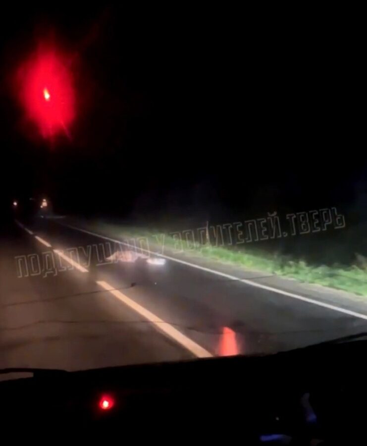 Под Тверью неизвестный насмерть сбил пешехода