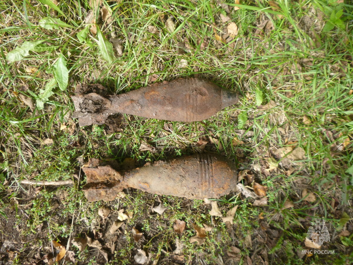 В Тверской области нашли два взрывоопасных предмета