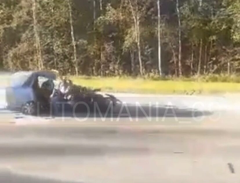 Легковушку разорвало на части при ДТП в Тверской области