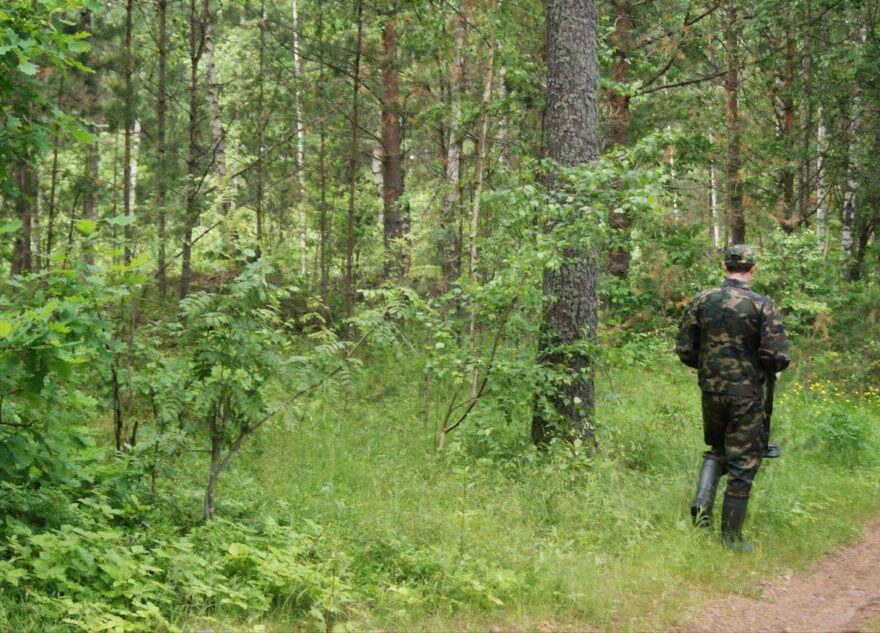 Тело пожилого мужчины нашли в лесу в Тверской области