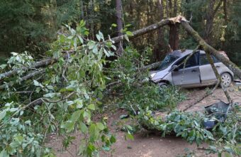 В Тверской области Nissan съехал с дороги и протаранил дерево