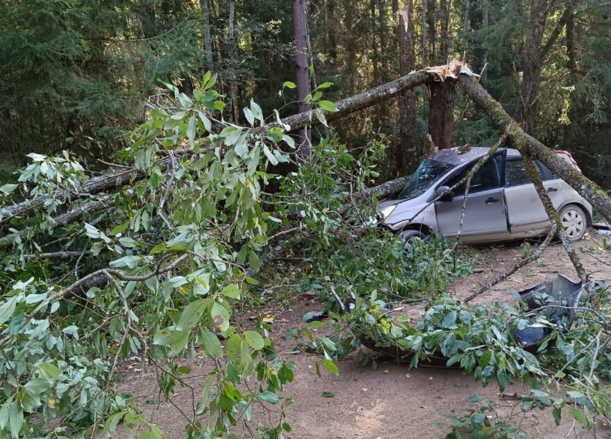 В Тверской области Nissan съехал с дороги и протаранил дерево В Тверской области Nissan съехал с дороги и протаранил дерево