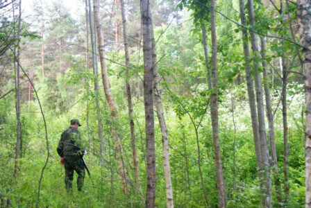 В лесу в Тверской области нашли тело пожилой женщины