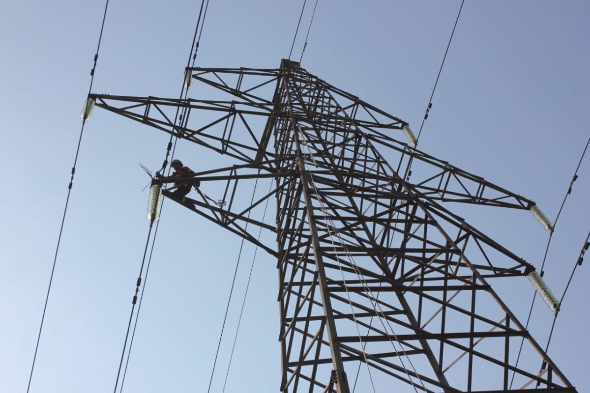 На опорах линий электропередач в Тверской области монтируют птицезащитное оборудование