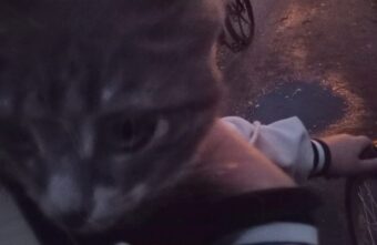 Жители посёлка в Тверской области поблагодарили пожарных за спасение котёнка Жители посёлка в Тверской области поблагодарили пожарных за спасение котёнка